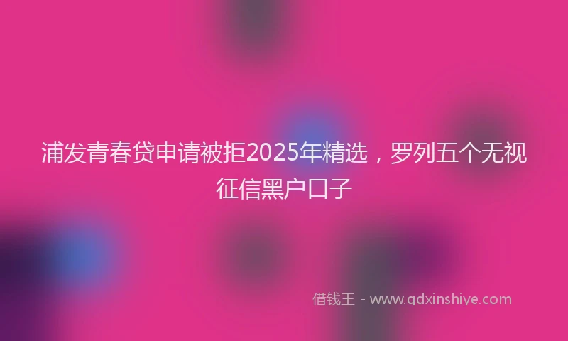 浦发青春贷申请被拒2025年精选，罗列五个无视征信黑户口子