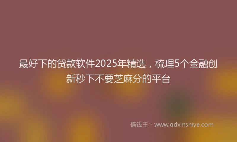 最好下的贷款软件2025年精选，梳理5个金融创新秒下不要芝麻分的平台