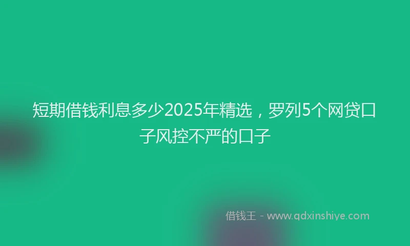 短期借钱利息多少2025年精选，罗列5个网贷口子风控不严的口子