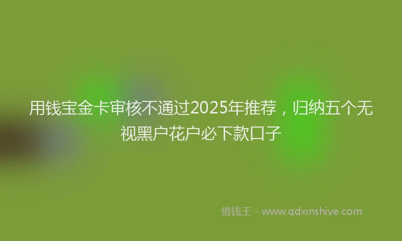 用钱宝金卡审核不通过2025年推荐，归纳五个无视黑户花户必下款口子
