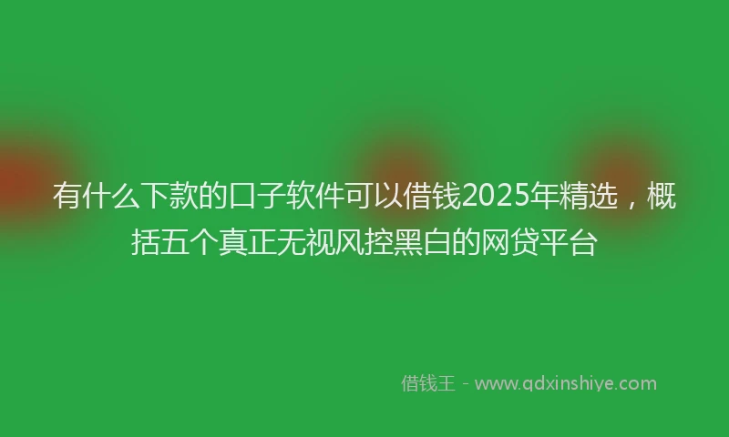 有什么下款的口子软件可以借钱2025年精选，概括五个真正无视风控黑白的网贷平台