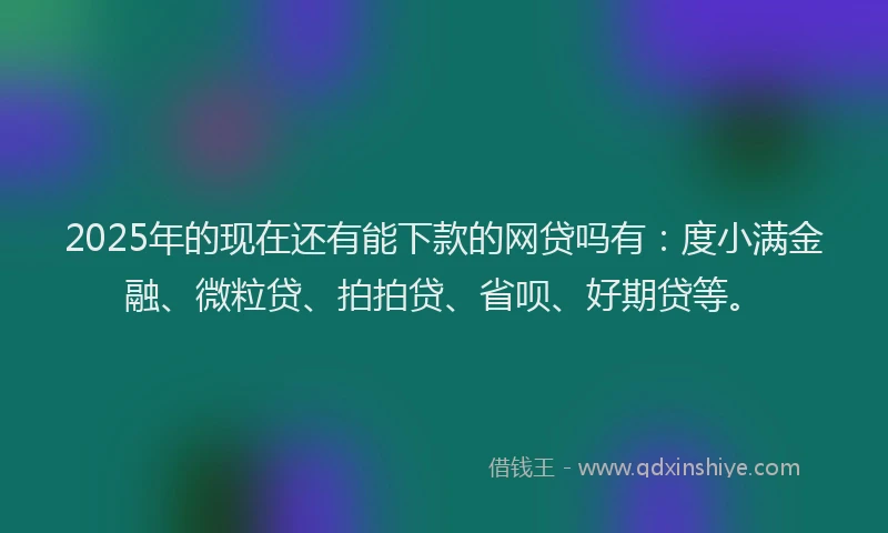 2025年的现在还有能下款的网贷吗有：度小满金融、微粒贷、拍拍贷、省呗、好期贷等。