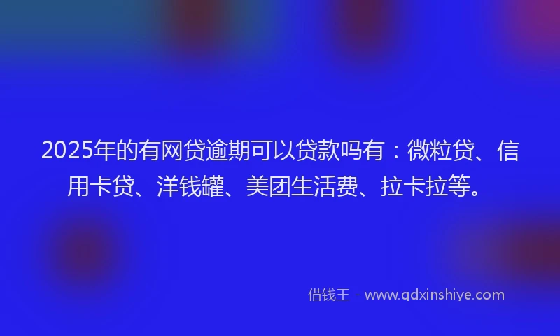 2025年的有网贷逾期可以贷款吗有：微粒贷、信用卡贷、洋钱罐、美团生活费、拉卡拉等。