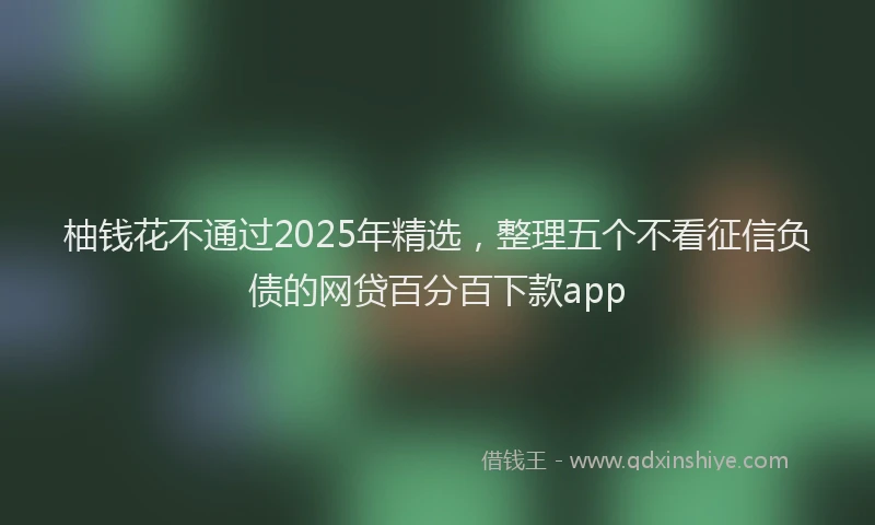 柚钱花不通过2025年精选，整理五个不看征信负债的网贷百分百下款app