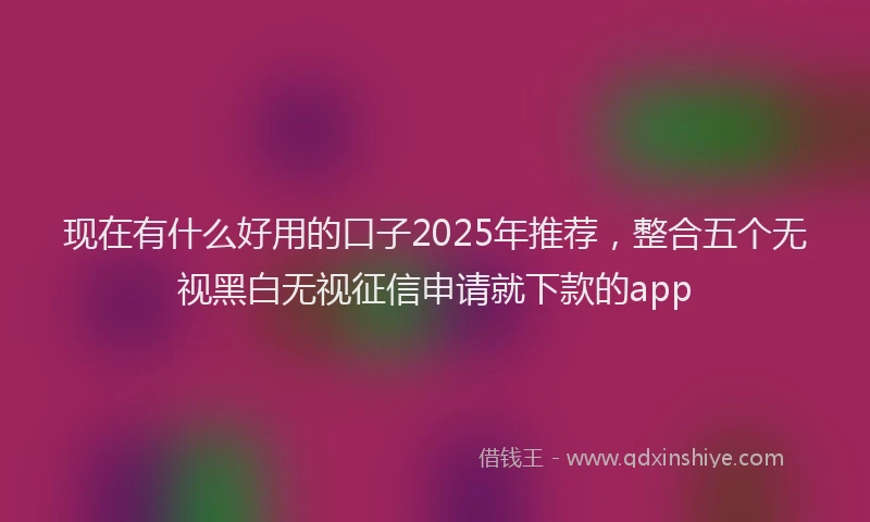 现在有什么好用的口子2025年推荐，整合五个无视黑白无视征信申请就下款的app
