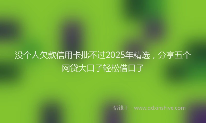 没个人欠款信用卡批不过2025年精选，分享五个网贷大口子轻松借口子