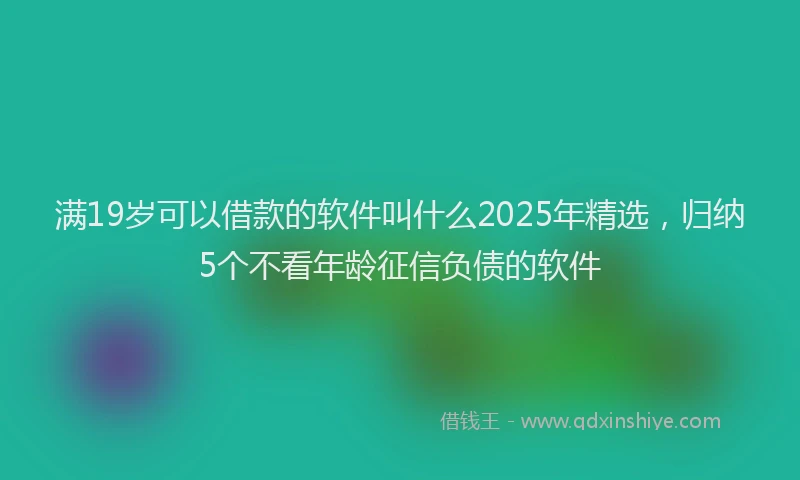 满19岁可以借款的软件叫什么2025年精选，归纳5个不看年龄征信负债的软件