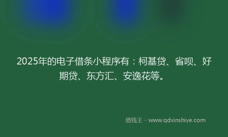 2025年的电子借条小程序有：柯基贷、省呗、好期贷、东方汇、安逸花等。