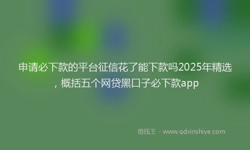 申请必下款的平台征信花了能下款吗2025年精选，概括五个网贷黑口子必下款app