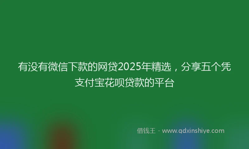 有没有微信下款的网贷2025年精选，分享五个凭支付宝花呗贷款的平台