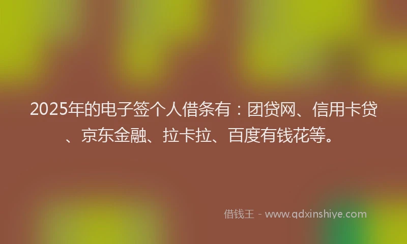 2025年的电子签个人借条有：团贷网、信用卡贷、京东金融、拉卡拉、百度有钱花等。