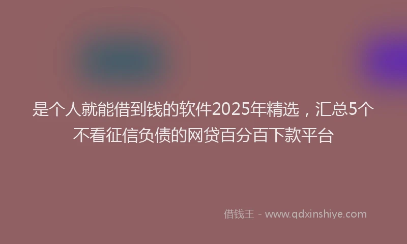 是个人就能借到钱的软件2025年精选，汇总5个不看征信负债的网贷百分百下款平台