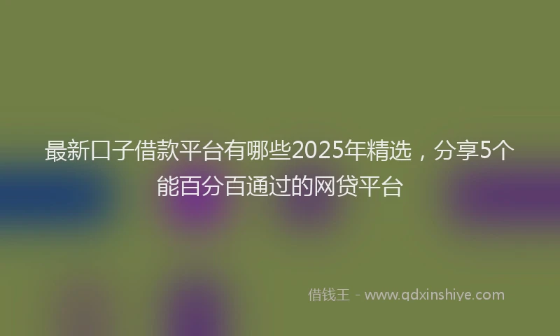 最新口子借款平台有哪些2025年精选，分享5个能百分百通过的网贷平台