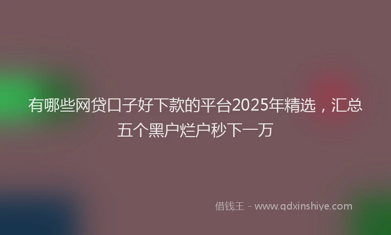 有哪些网贷口子好下款的平台2025年精选，汇总五个黑户烂户秒下一万