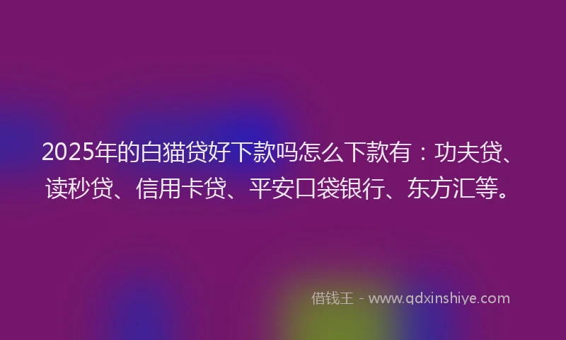 2025年的白猫贷好下款吗怎么下款有：功夫贷、读秒贷、信用卡贷、平安口袋银行、东方汇等。