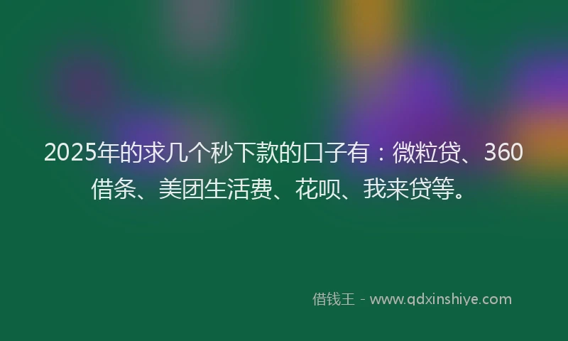 2025年的求几个秒下款的口子有：微粒贷、360借条、美团生活费、花呗、我来贷等。
