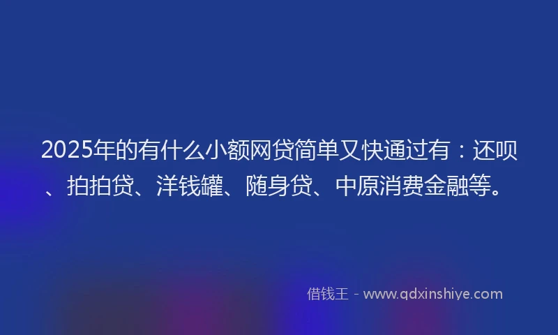 2025年的有什么小额网贷简单又快通过有：还呗、拍拍贷、洋钱罐、随身贷、中原消费金融等。