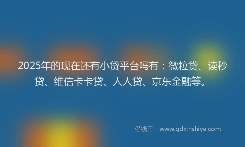 2025年的现在还有小贷平台吗有：微粒贷、读秒贷、维信卡卡贷、人人贷、京东金融等。