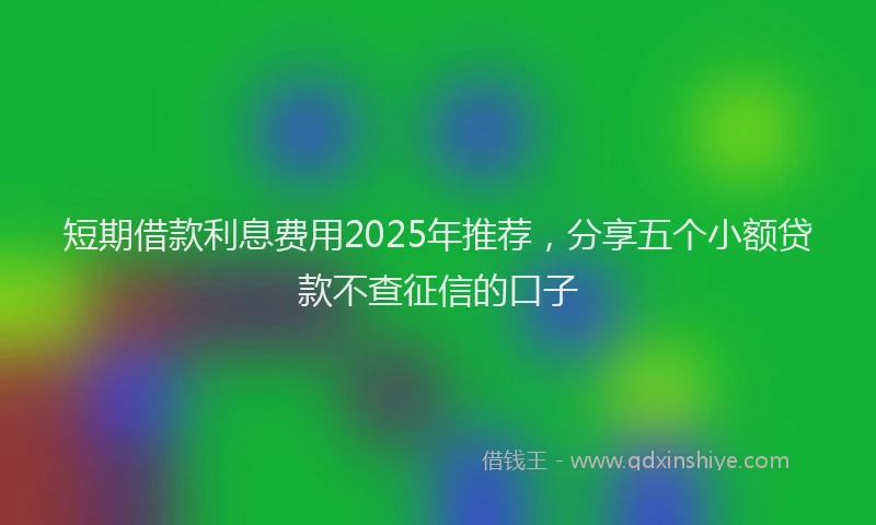 短期借款利息费用2025年推荐，分享五个小额贷款不查征信的口子
