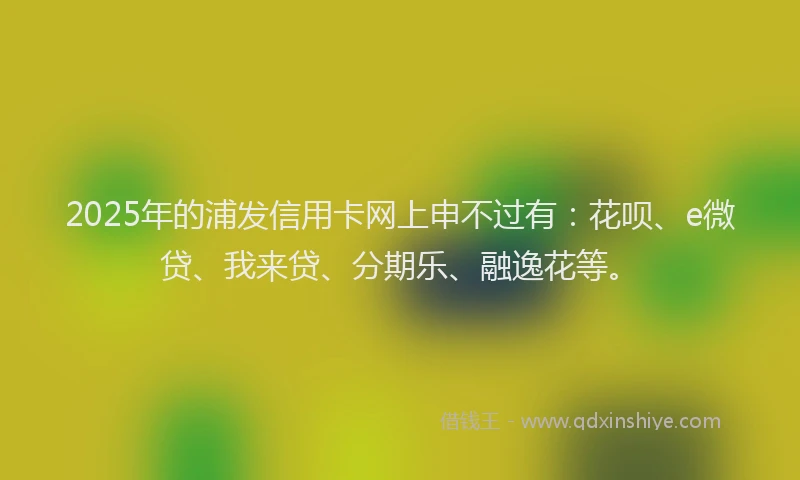 2025年的浦发信用卡网上申不过有：花呗、e微贷、我来贷、分期乐、融逸花等。