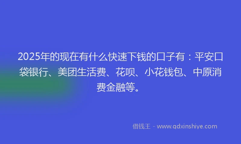 2025年的现在有什么快速下钱的口子有：平安口袋银行、美团生活费、花呗、小花钱包、中原消费金融等。