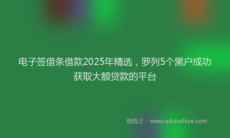 电子签借条借款2025年精选，罗列5个黑户成功获取大额贷款的平台
