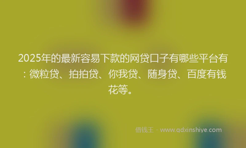 2025年的最新容易下款的网贷口子有哪些平台有：微粒贷、拍拍贷、你我贷、随身贷、百度有钱花等。