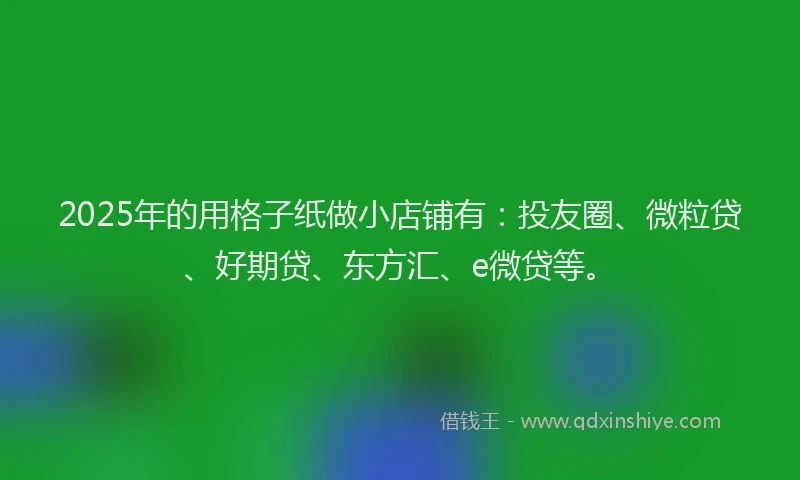 2025年的用格子纸做小店铺有：投友圈、微粒贷、好期贷、东方汇、e微贷等。