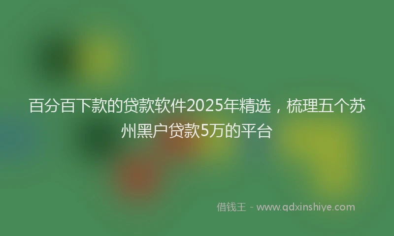 百分百下款的贷款软件2025年精选，梳理五个苏州黑户贷款5万的平台