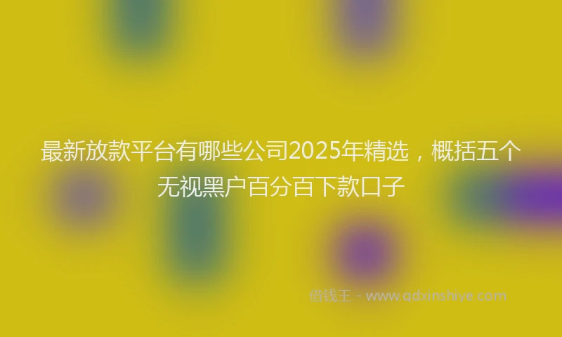 最新放款平台有哪些公司2025年精选，概括五个无视黑户百分百下款口子