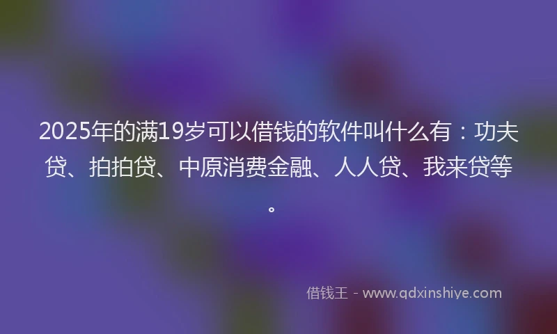 2025年的满19岁可以借钱的软件叫什么有：功夫贷、拍拍贷、中原消费金融、人人贷、我来贷等。