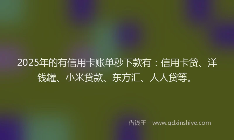2025年的有信用卡账单秒下款有：信用卡贷、洋钱罐、小米贷款、东方汇、人人贷等。