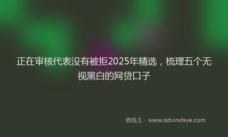 正在审核代表没有被拒2025年精选，梳理五个无视黑白的网贷口子
