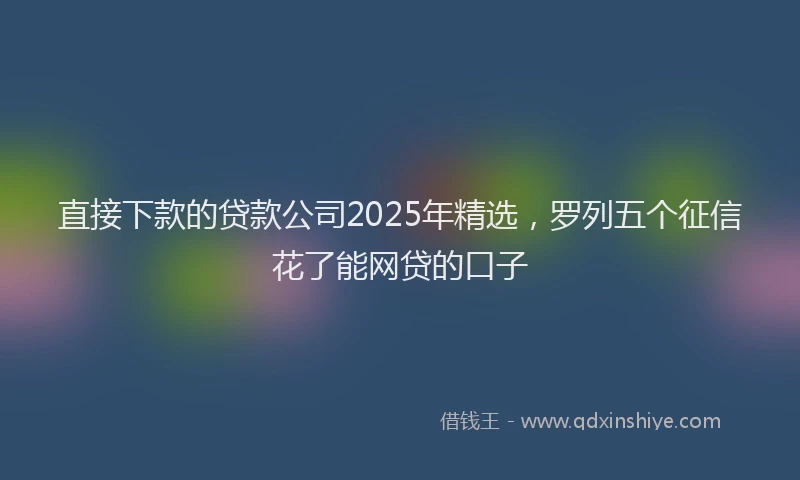 直接下款的贷款公司2025年精选，罗列五个征信花了能网贷的口子