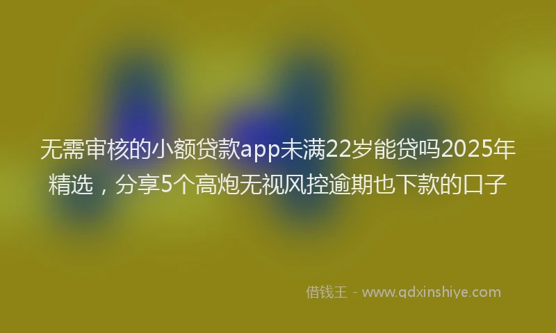 无需审核的小额贷款app未满22岁能贷吗2025年精选，分享5个高炮无视风控逾期也下款的口子
