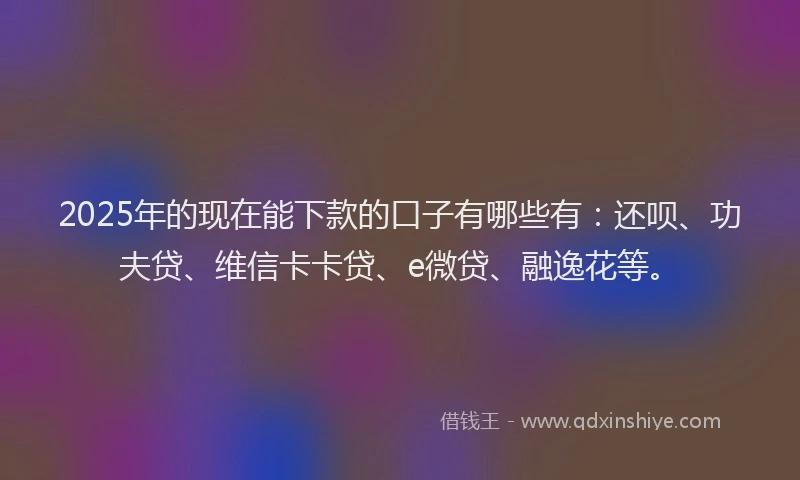 2025年的现在能下款的口子有哪些有：还呗、功夫贷、维信卡卡贷、e微贷、融逸花等。