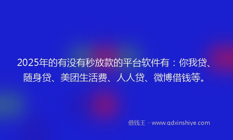 2025年的有没有秒放款的平台软件有：你我贷、随身贷、美团生活费、人人贷、微博借钱等。