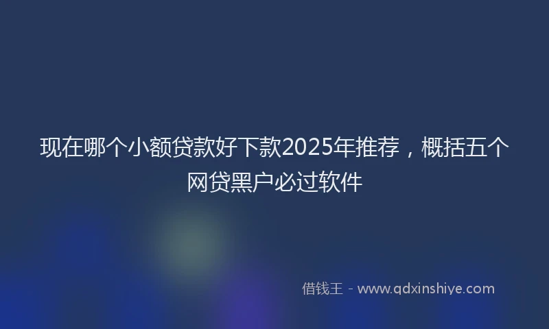 现在哪个小额贷款好下款2025年推荐，概括五个网贷黑户必过软件