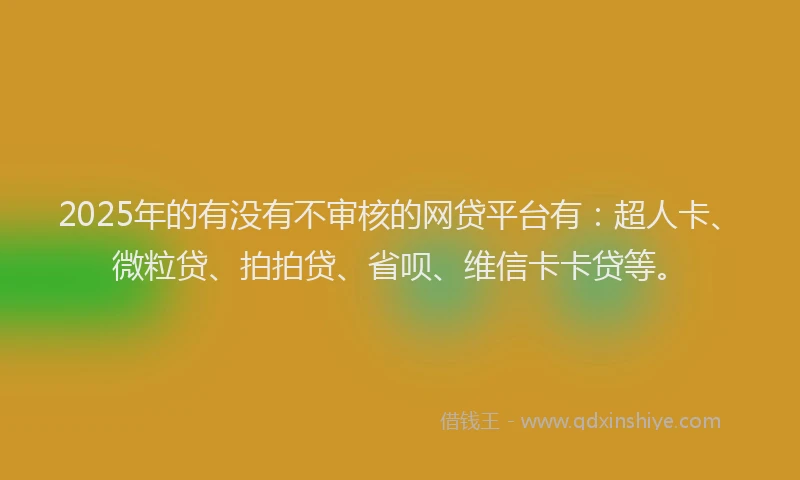 2025年的有没有不审核的网贷平台有：超人卡、微粒贷、拍拍贷、省呗、维信卡卡贷等。