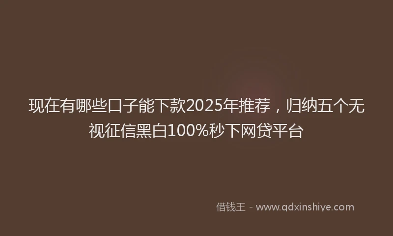 现在有哪些口子能下款2025年推荐，归纳五个无视征信黑白100%秒下网贷平台