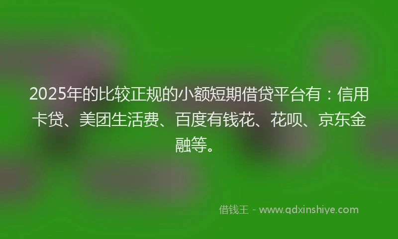 2025年的比较正规的小额短期借贷平台有：信用卡贷、美团生活费、百度有钱花、花呗、京东金融等。