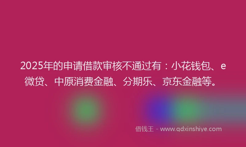 2025年的申请借款审核不通过有：小花钱包、e微贷、中原消费金融、分期乐、京东金融等。
