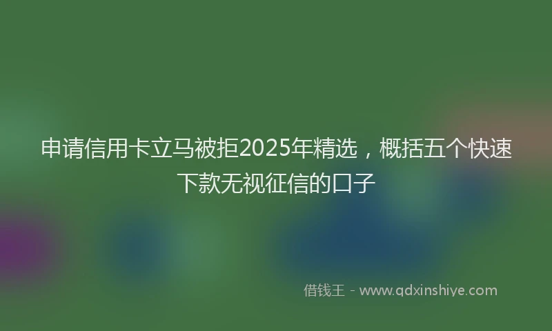 申请信用卡立马被拒2025年精选，概括五个快速下款无视征信的口子