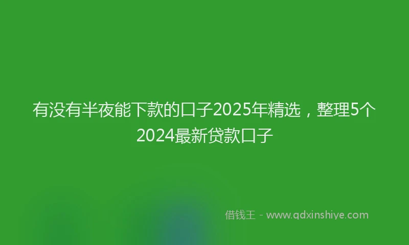 有没有半夜能下款的口子2025年精选，整理5个2024最新贷款口子