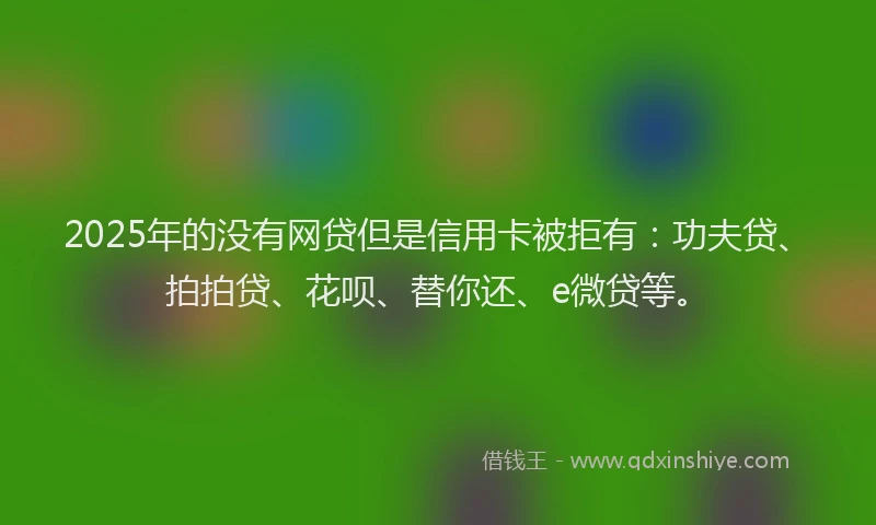 2025年的没有网贷但是信用卡被拒有：功夫贷、拍拍贷、花呗、替你还、e微贷等。