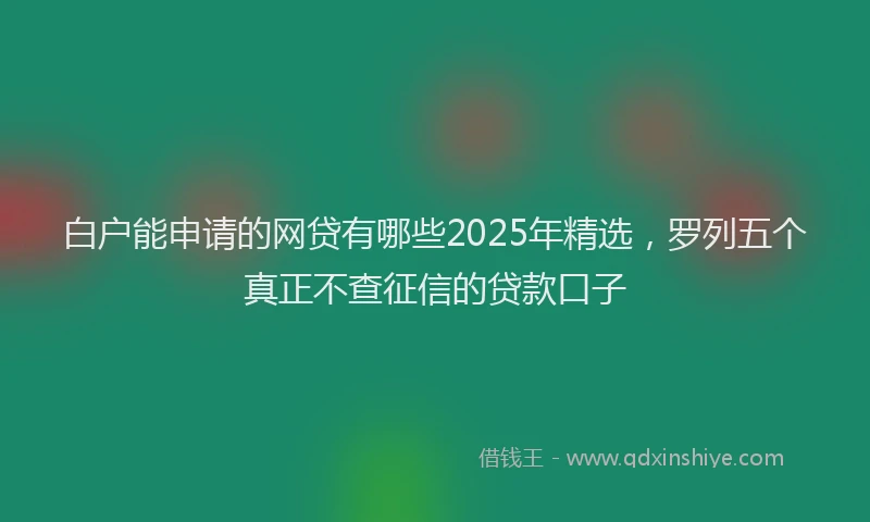 白户能申请的网贷有哪些2025年精选，罗列五个真正不查征信的贷款口子