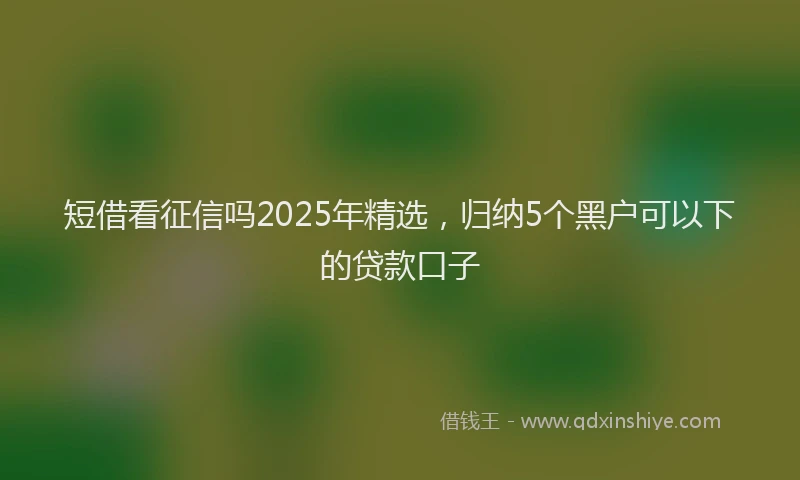 短借看征信吗2025年精选，归纳5个黑户可以下的贷款口子