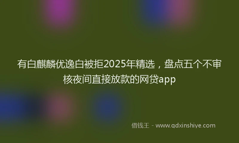 有白麒麟优逸白被拒2025年精选，盘点五个不审核夜间直接放款的网贷app