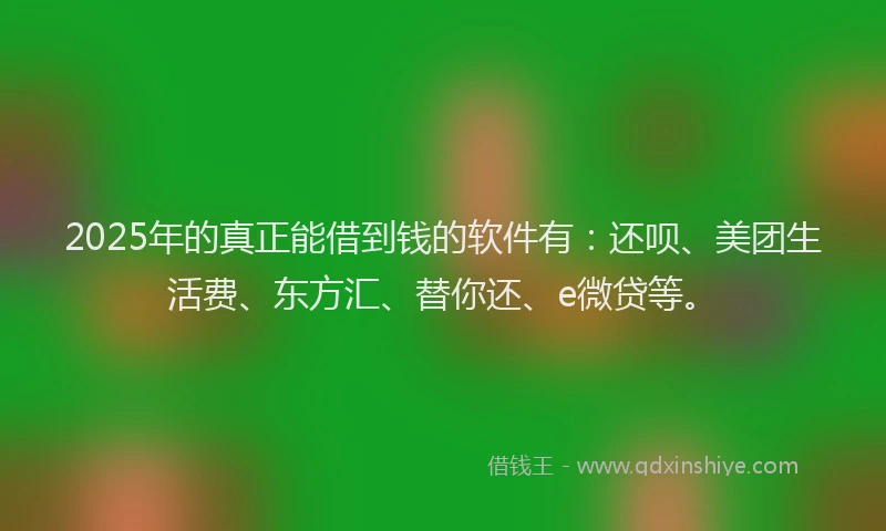 2025年的真正能借到钱的软件有：还呗、美团生活费、东方汇、替你还、e微贷等。
