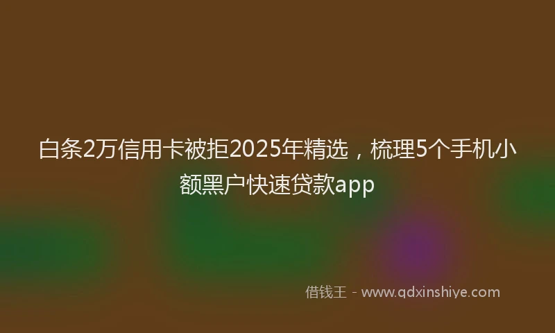 白条2万信用卡被拒2025年精选，梳理5个手机小额黑户快速贷款app